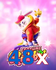 48x