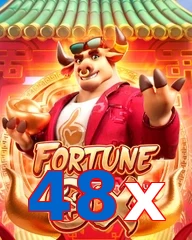 48x