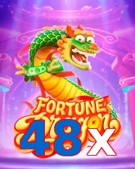 48x