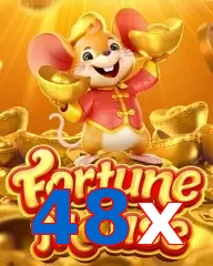48x